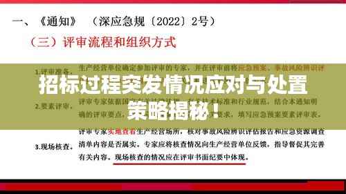 招标过程突发情况应对与处置策略揭秘!