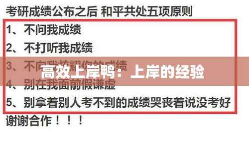 高效上岸鸭:上岸的经验