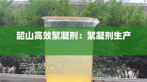 仙姿佚貌 第6页