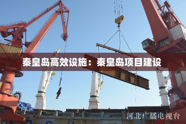 秦皇岛高效设施:秦皇岛项目建设