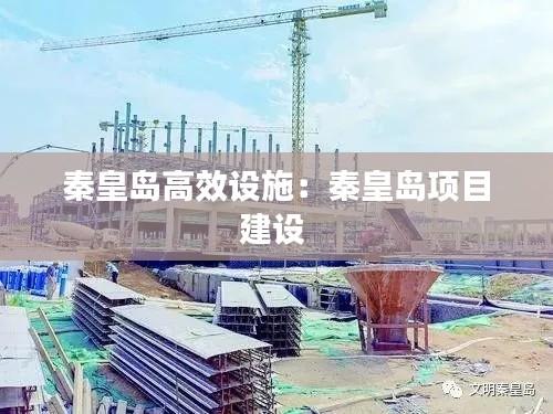 秦皇岛高效设施:秦皇岛项目建设