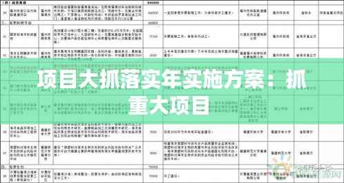 项目大抓落实年实施方案:抓重大项目