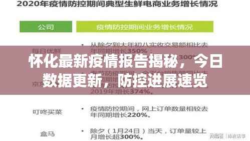 怀化最新疫情报告揭秘，今日数据更新，防控进展速览