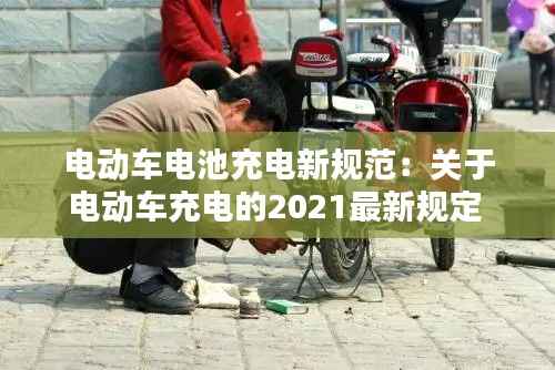 犯而不校 第5页