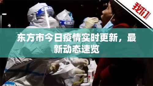 东方市今日疫情实时更新,最新动态速览