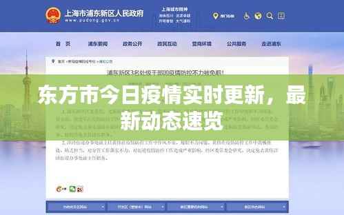 东方市今日疫情实时更新,最新动态速览