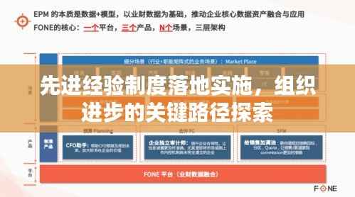 先进经验制度落地实施,组织进步的关键路径探索