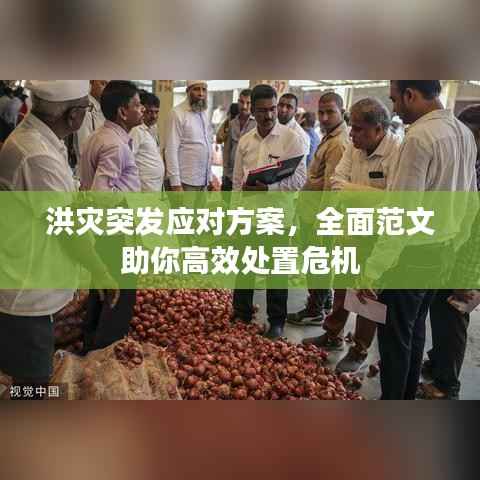 洪灾突发应对方案，全面范文助你高效处置危机