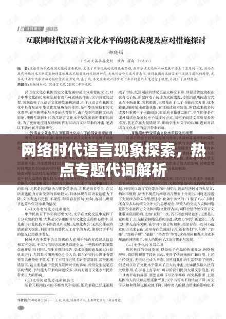 网络时代语言现象探索，热点专题代词解析