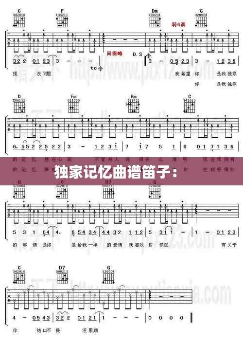 独家记忆曲谱笛子： 