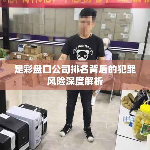 足彩盘口公司排名背后的犯罪风险深度解析