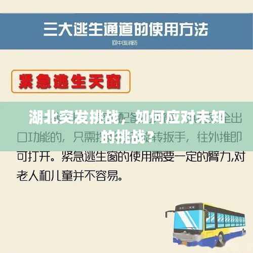 湖北突发挑战，如何应对未知的挑战？