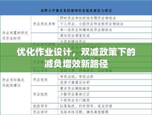 优化作业设计，双减政策下的减负增效新路径