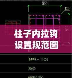 柱子内拉钩设置规范图片：柱子的拉钩是什么样子 