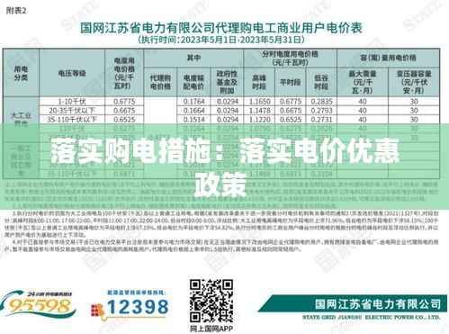 落实购电措施:落实电价优惠政策