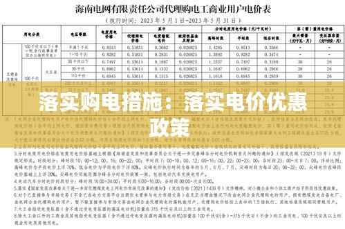 落实购电措施:落实电价优惠政策