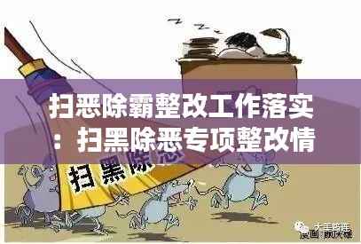 扫恶除霸整改工作落实:扫黑除恶专项整改情况
