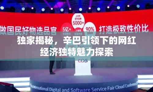 独家揭秘，辛巴引领下的网红经济独特魅力探索