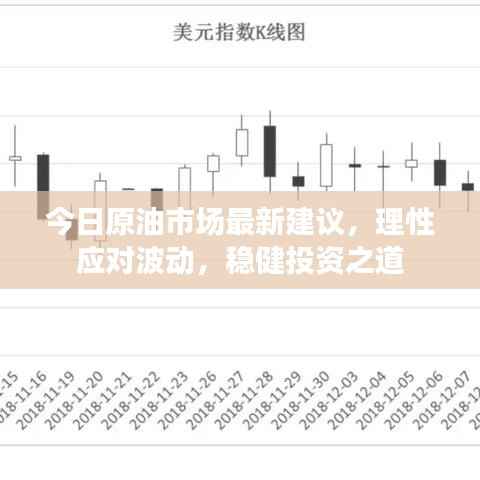 今日原油市场最新建议,理性应对波动,稳健投资之道