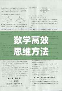 将机就机 第4页