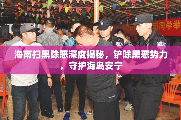 海南扫黑除恶深度揭秘,铲除黑恶势力,守护海岛安宁