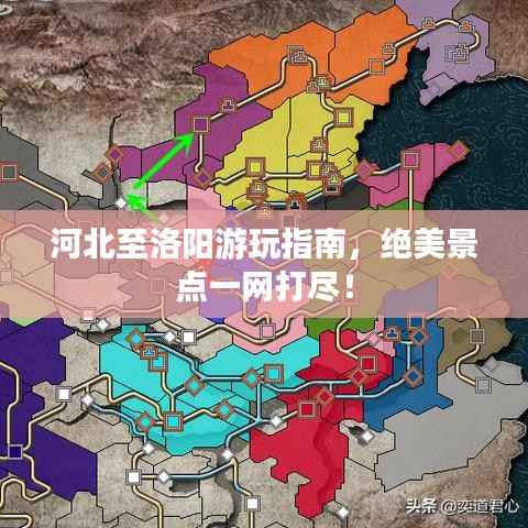 坌鸟先飞 第5页