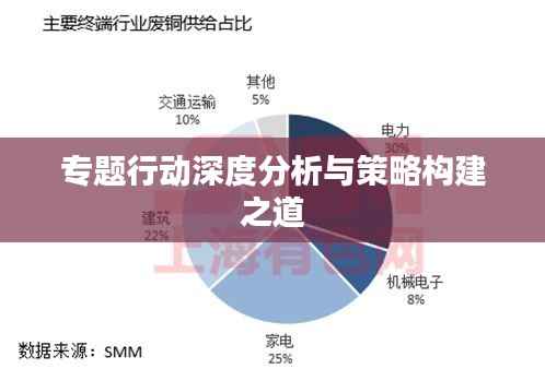 专题行动深度分析与策略构建之道