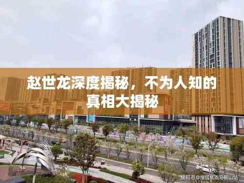 水静河飞 第4页