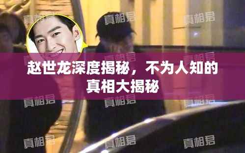 赵世龙深度揭秘,不为人知的真相大揭秘