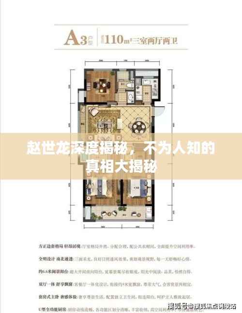 赵世龙深度揭秘,不为人知的真相大揭秘