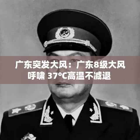 广东突发大风:广东8级大风呼啸 37℃高温不减退