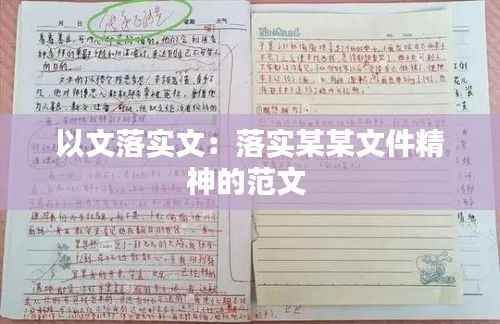 以文落实文:落实某某文件精神的范文