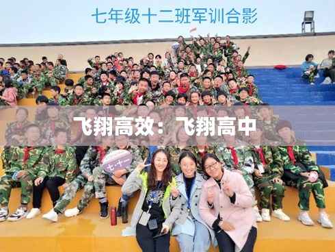 飞翔高效:飞翔高中