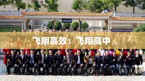 飞翔高效:飞翔高中