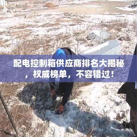 配电控制箱供应商排名大揭秘，权威榜单，不容错过！