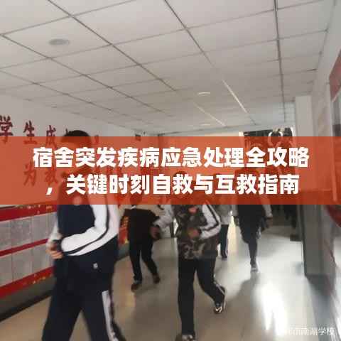 宿舍突发疾病应急处理全攻略,关键时刻自救与互救指南