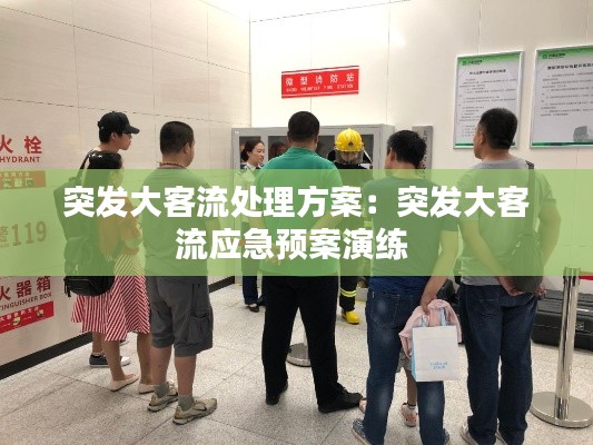 突发大客流处理方案:突发大客流应急预案演练