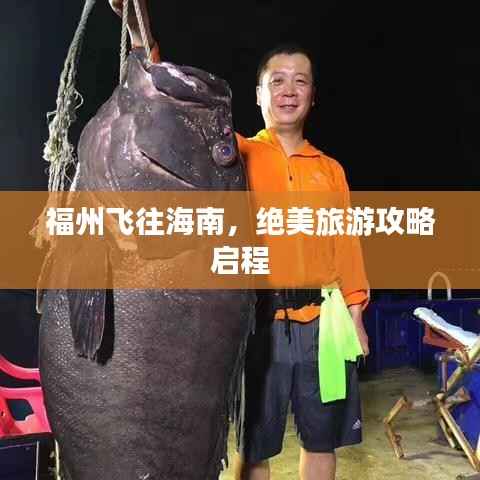 福州飞往海南，绝美旅游攻略启程