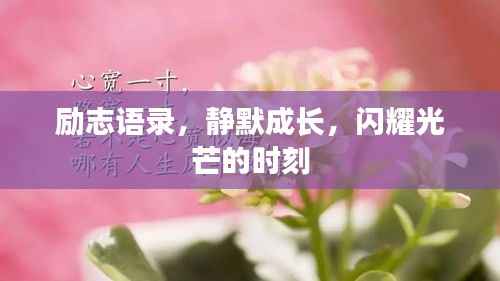励志语录,静默成长,闪耀光芒的时刻