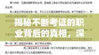 揭秘不断考证的职业背后的真相，深度探索与解析