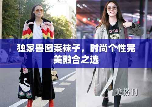 独家兽图案袜子,时尚个性完美融合之选