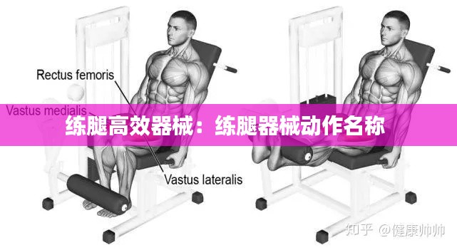 练腿高效器械：练腿器械动作名称 
