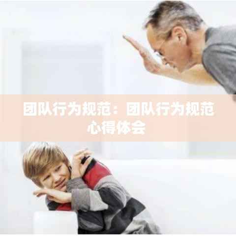 团队行为规范:团队行为规范心得体会