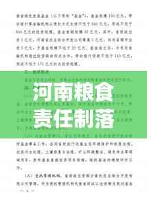 河南粮食责任制落实情况:河南省粮食应急预案