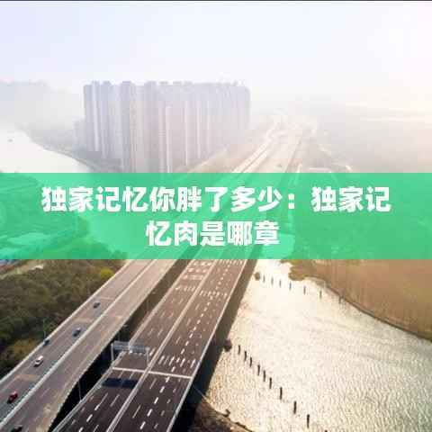 独家记忆你胖了多少:独家记忆肉是哪章