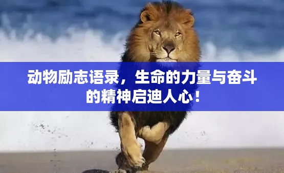 动物励志语录,生命的力量与奋斗的精神启迪人心!