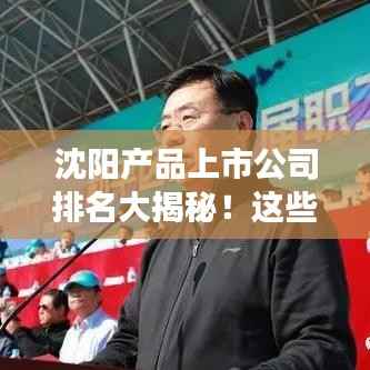 沈阳产品上市公司排名大揭秘!这些企业领跑市场!