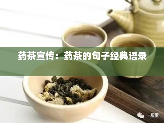 药茶宣传:药茶的句子经典语录