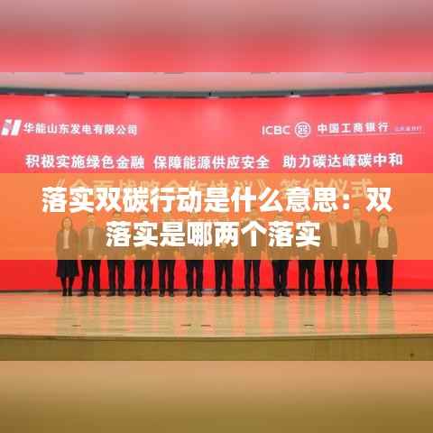 落实双碳行动是什么意思：双落实是哪两个落实 