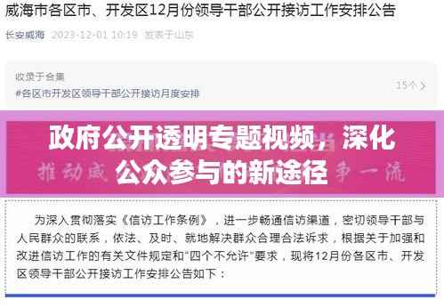 政府公开透明专题视频，深化公众参与的新途径